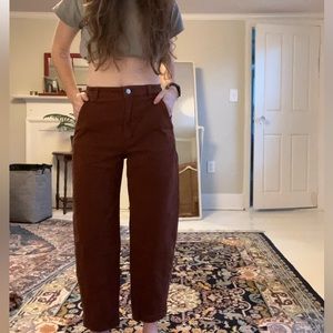 Everlane Barrel Pant